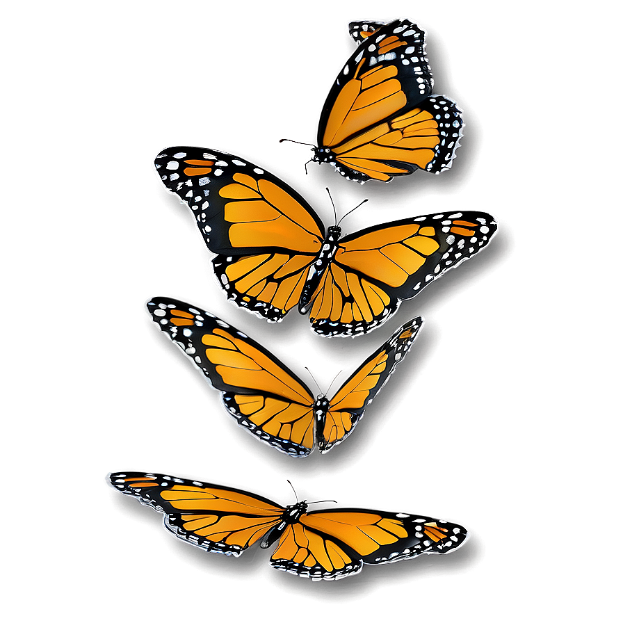 Monarch Butterflies Cluster Png Qxe82 PNG Image