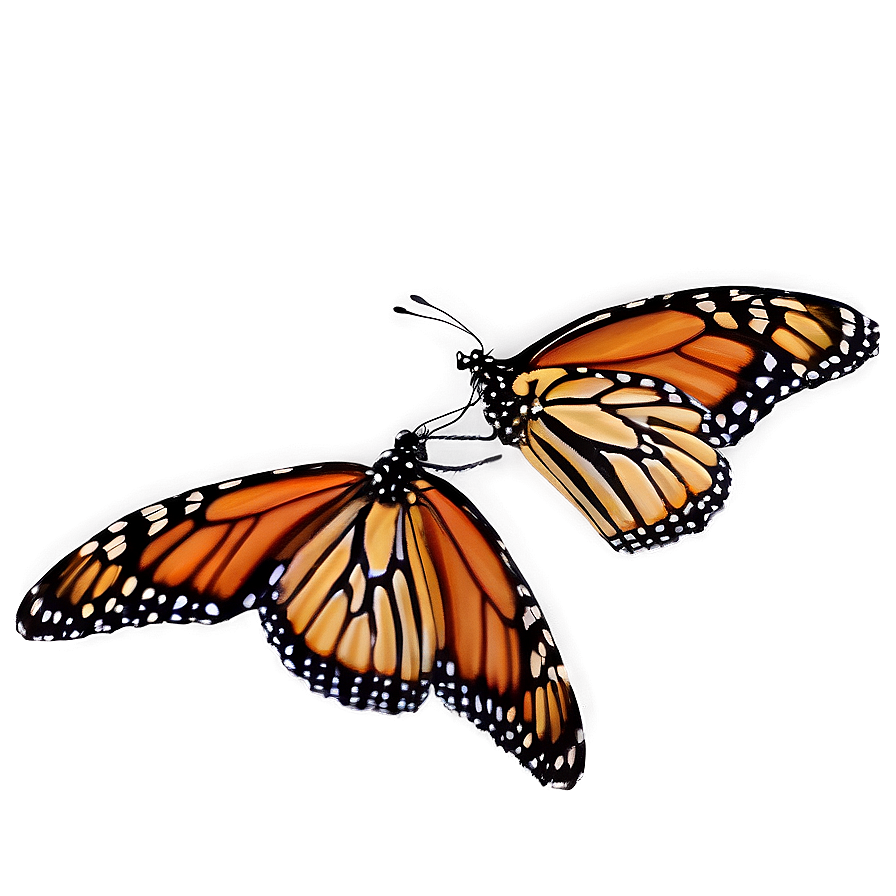 Monarch Butterflies In Forest Png Sjf PNG Image