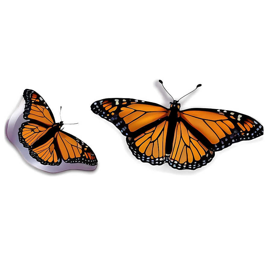 Monarch Butterflies In Nature Png 06252024 PNG Image