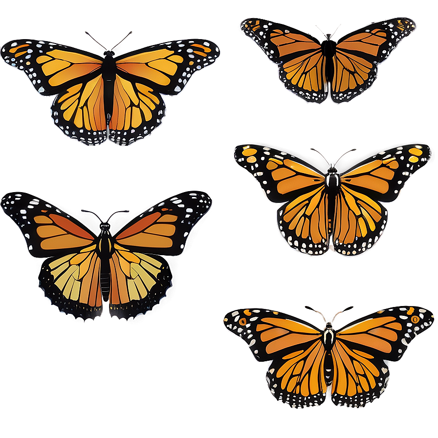 Monarch Butterflies In Spring Png 06252024 PNG Image