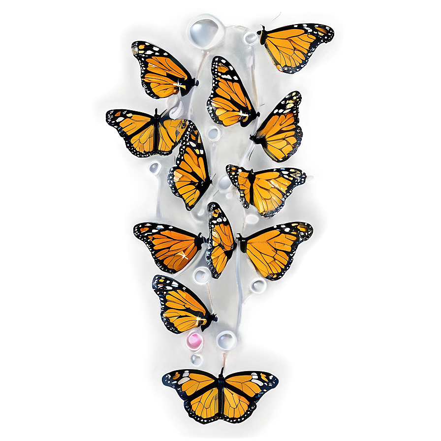 Monarch Butterflies With Dew Png 06252024 PNG Image