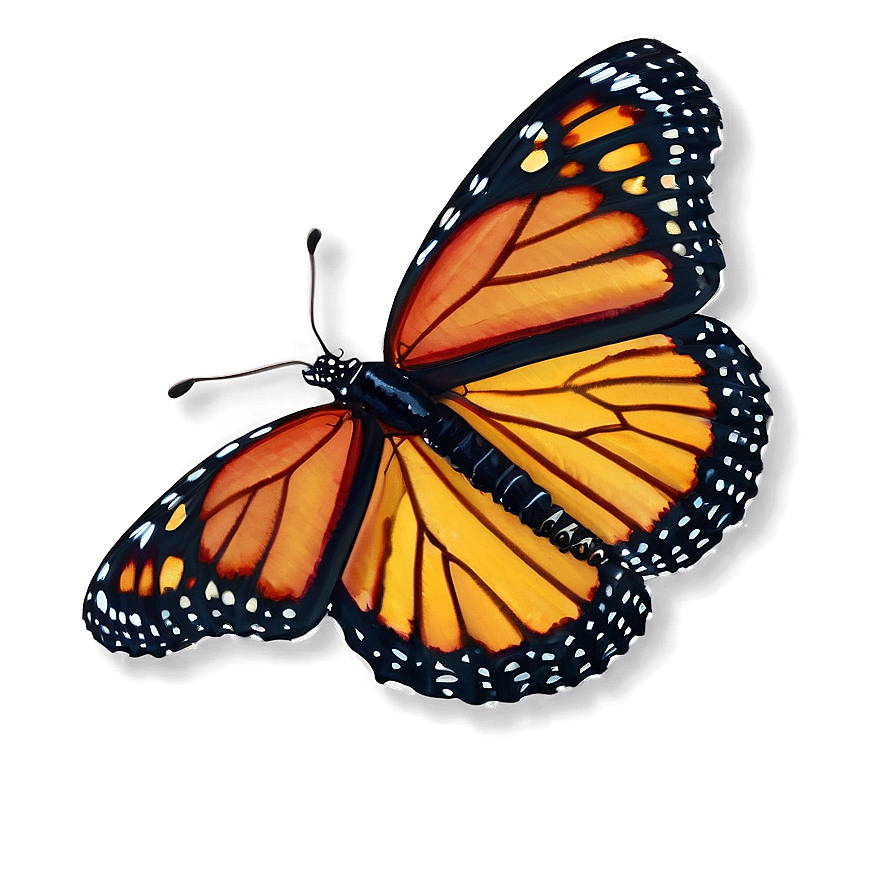 Monarch Butterfly Close-up Png 31 PNG Image