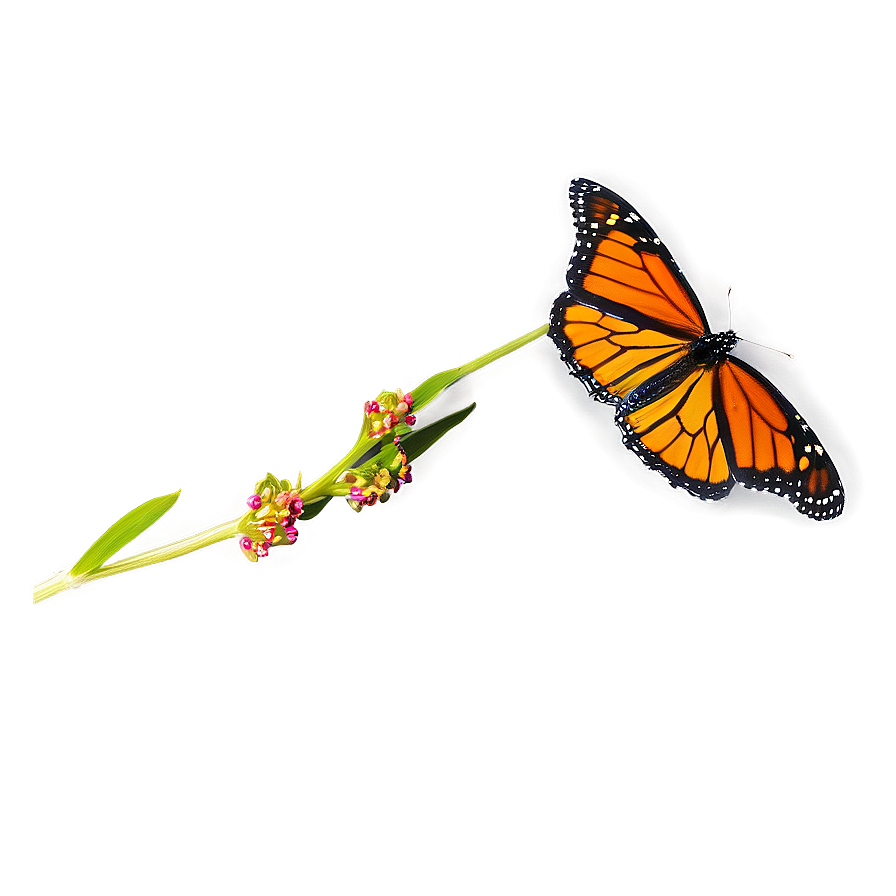 Monarch Butterfly In Flight Png 05252024 PNG Image