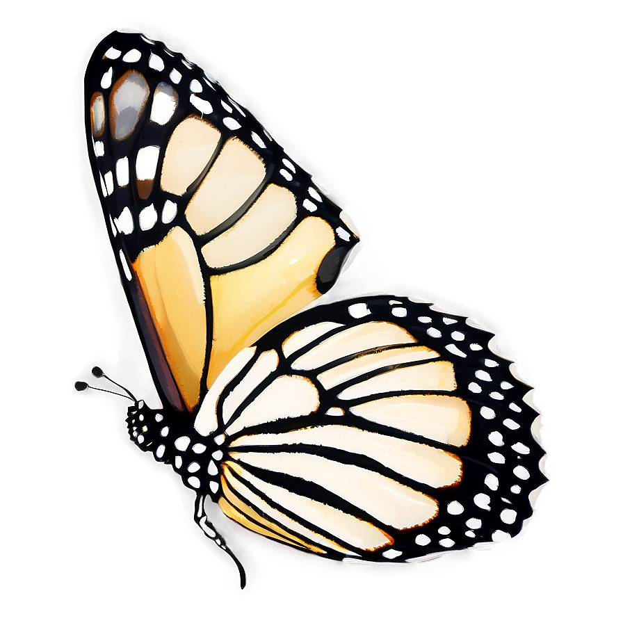 Monarch Butterfly Outline Png 05252024 PNG Image