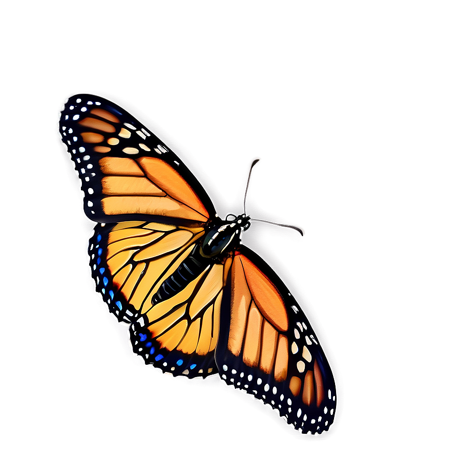 Monarch Butterfly Wings Spread Png 05252024 PNG Image