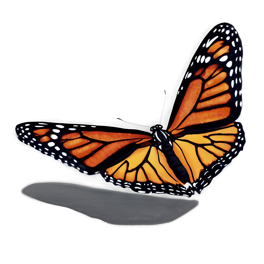 Monarch Butterfly Wings Spread Png Dau PNG Image