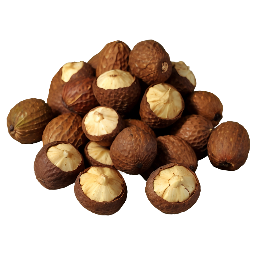 Mongongo Nut Png 8 PNG Image