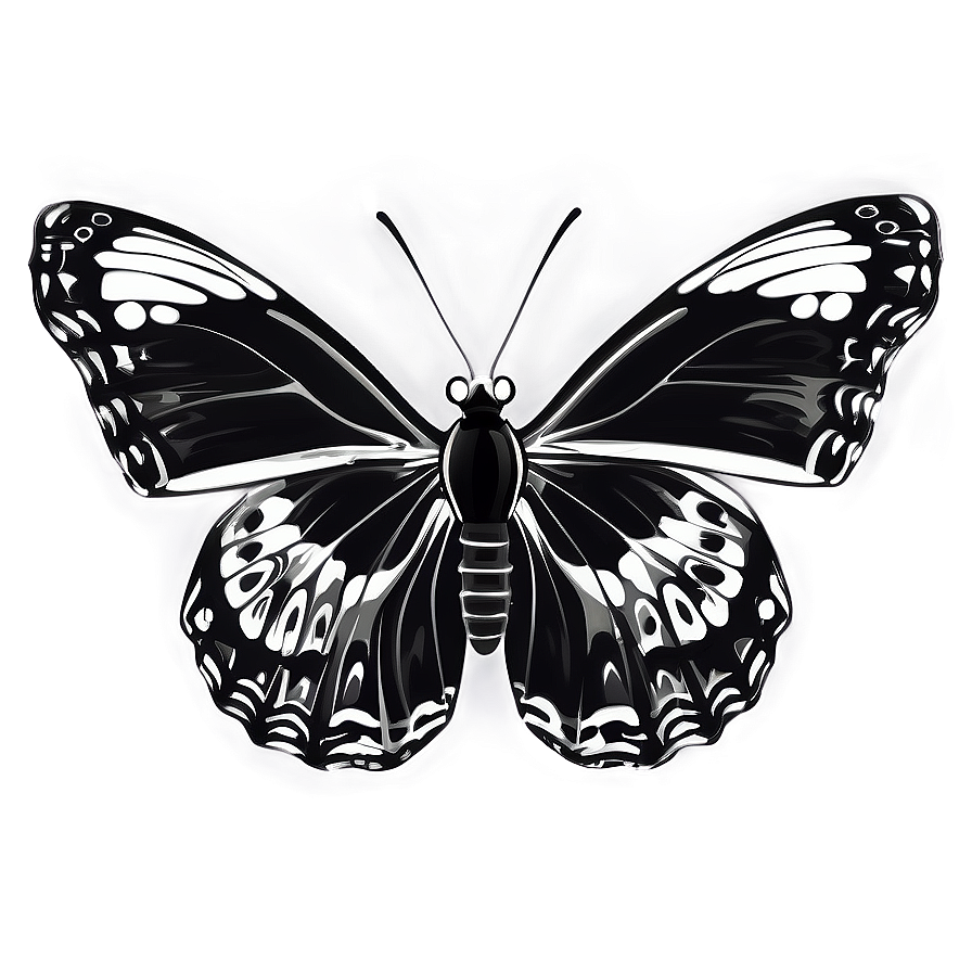 Mono Butterfly Illustration Png Yff PNG Image