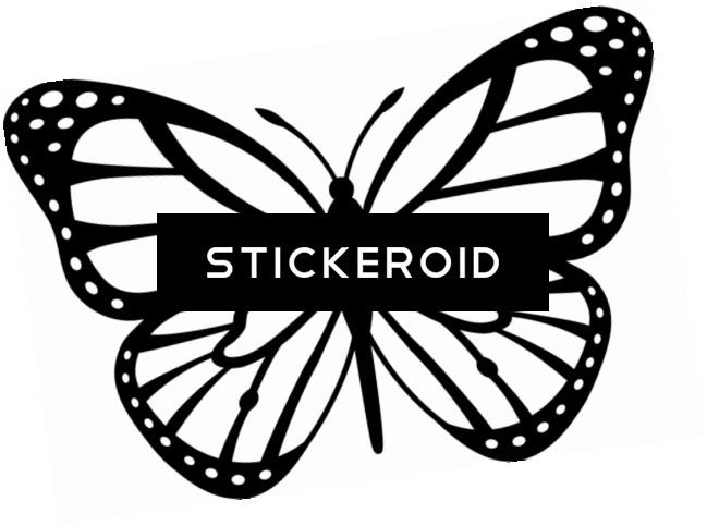 Monochrome Butterfly Graphic Stickeroid PNG Image