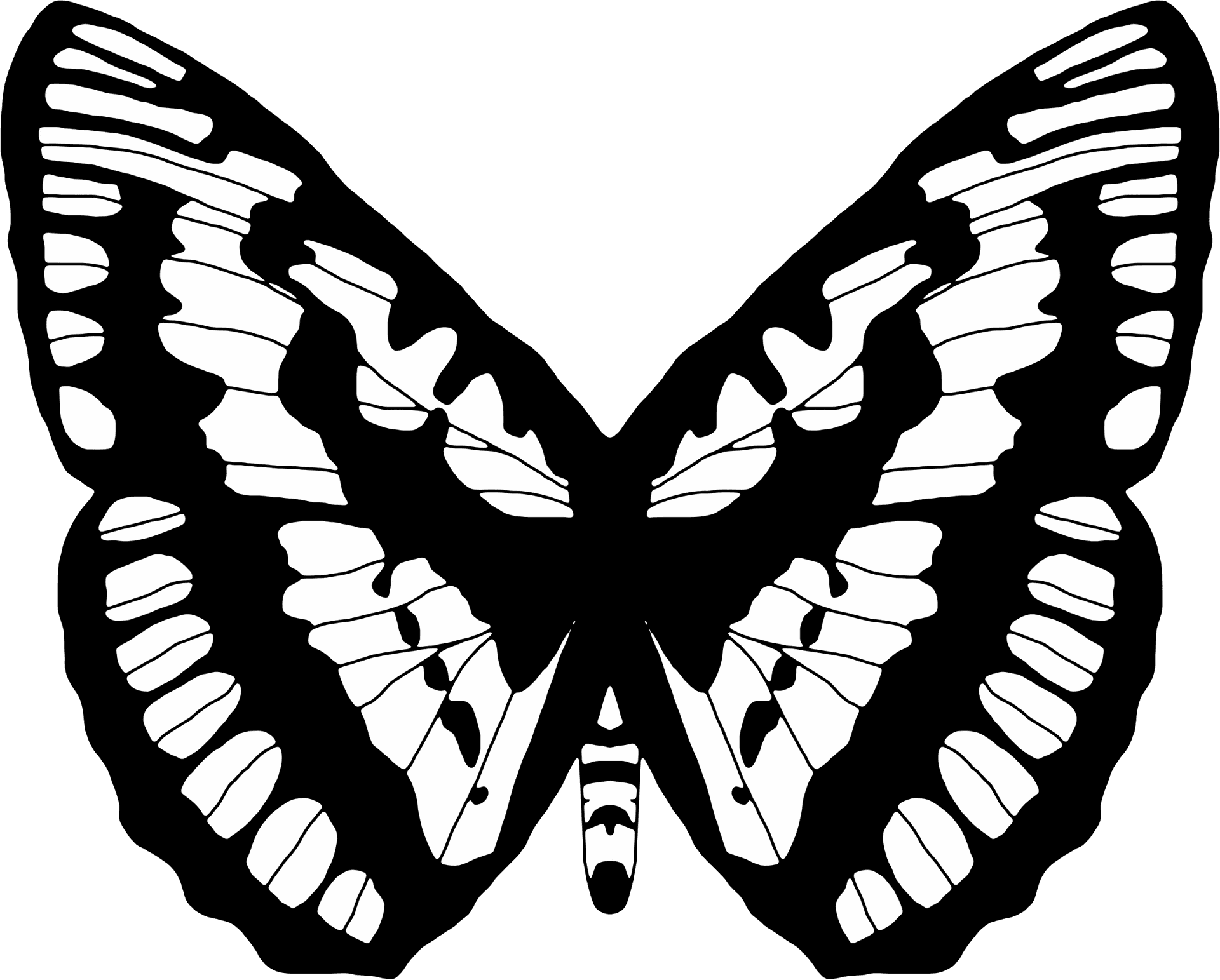 Monochrome Butterfly Illustration.png PNG Image