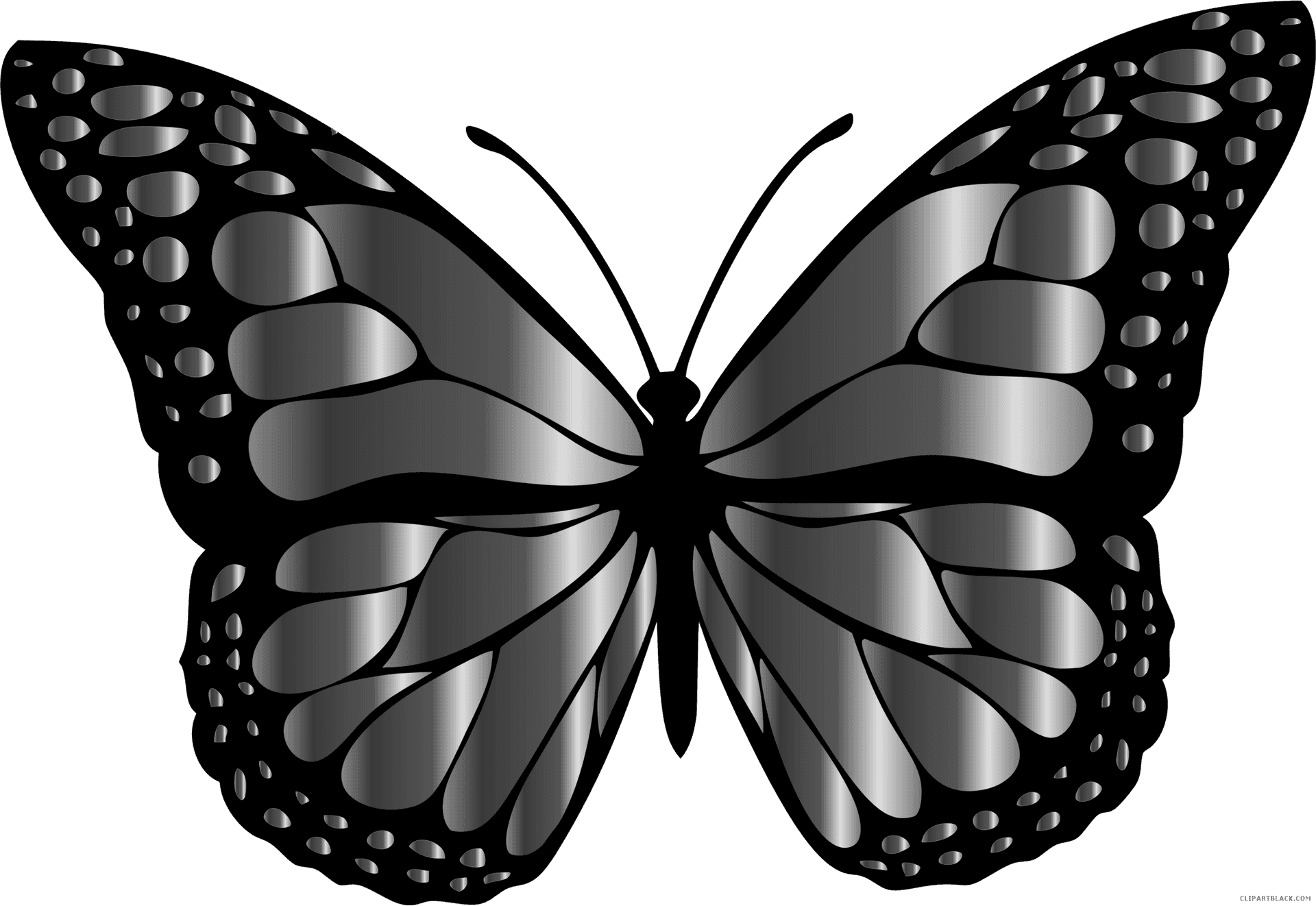 Monochrome Butterfly Illustration PNG Image