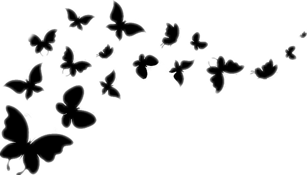 Monochrome Butterfly Silhouettes PNG Image