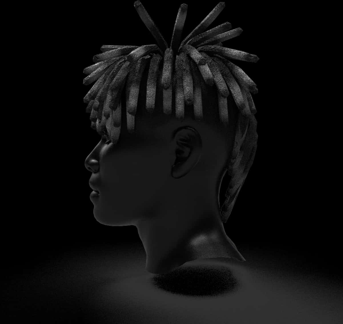 Monochrome Dreadlocks Profile PNG Image