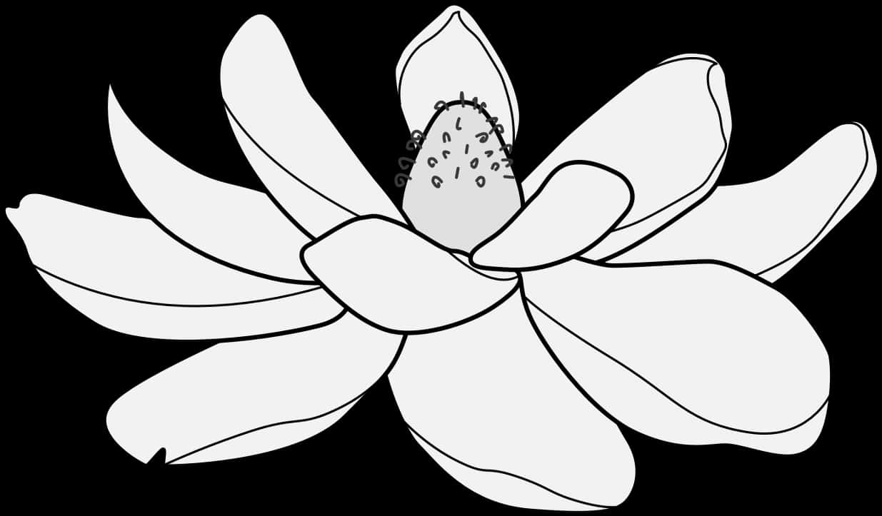 Monochrome Lotus Vector Illustration PNG Image