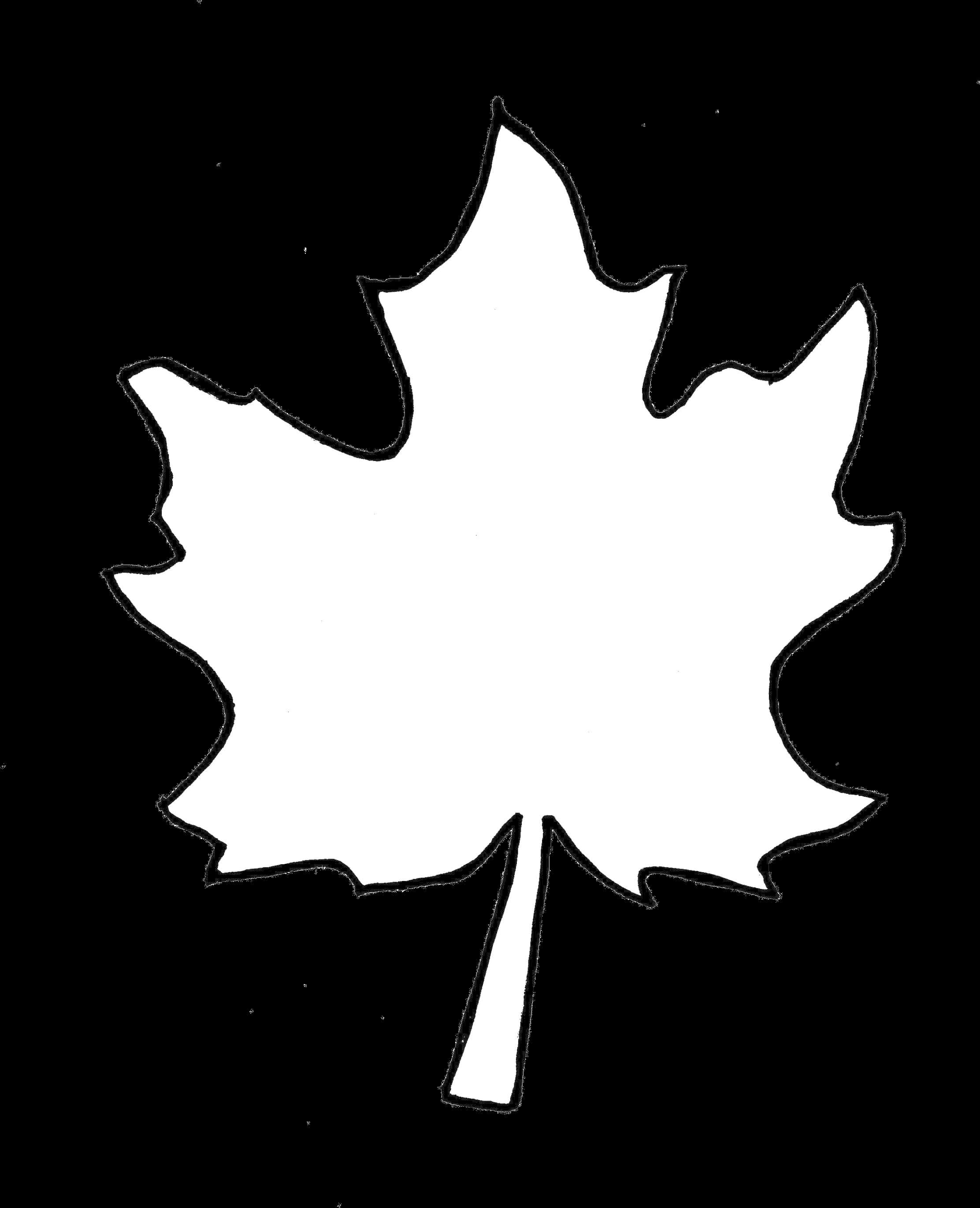 Monochrome Maple Leaf Silhouette PNG Image