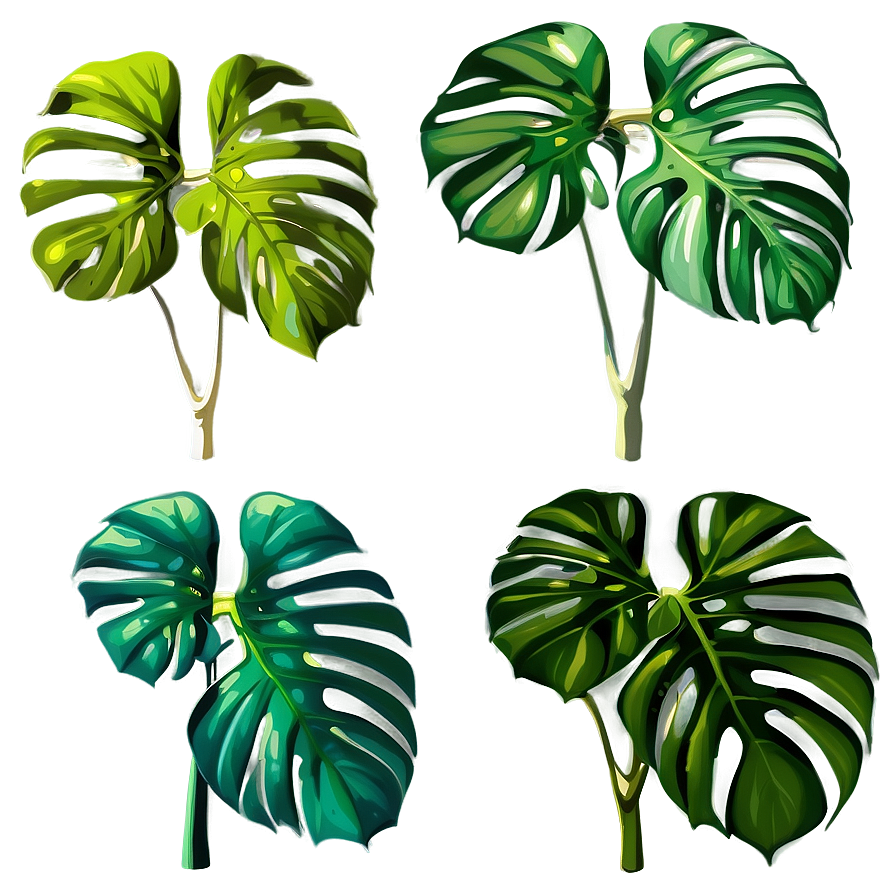 Monstera Deliciosa In Nature Png Wgi80 PNG Image