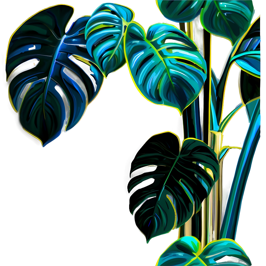 Monstera Plant A PNG Image