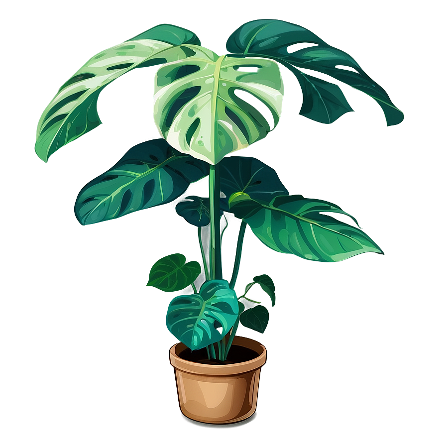 Monstera Plant In Wild Png 05232024 PNG Image