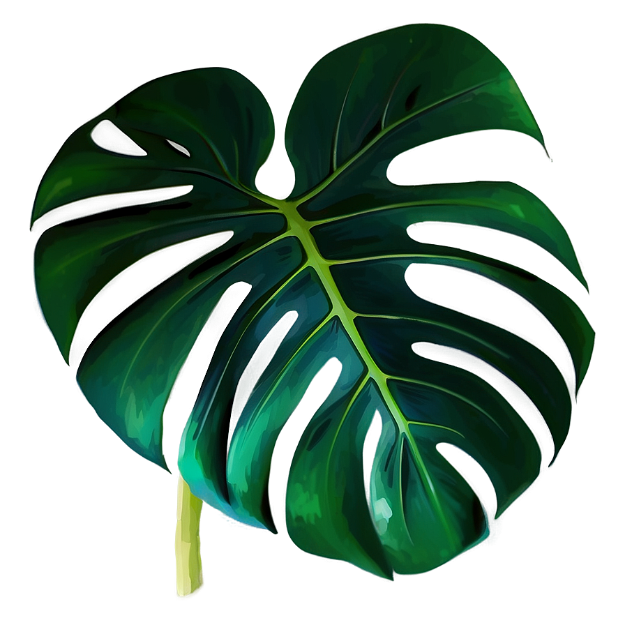 Monstera Plant Leaf Png Skg43 PNG Image