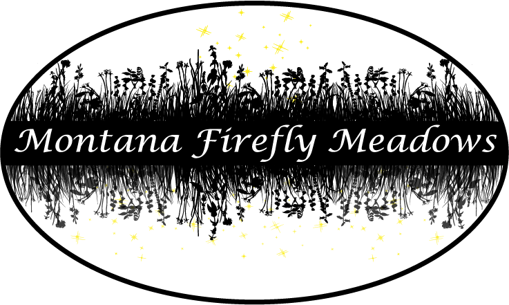 Montana Firefly Meadows Night Scene PNG Image