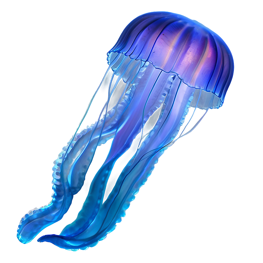 Moon Jelly In Magical Ocean Png Hxp PNG Image