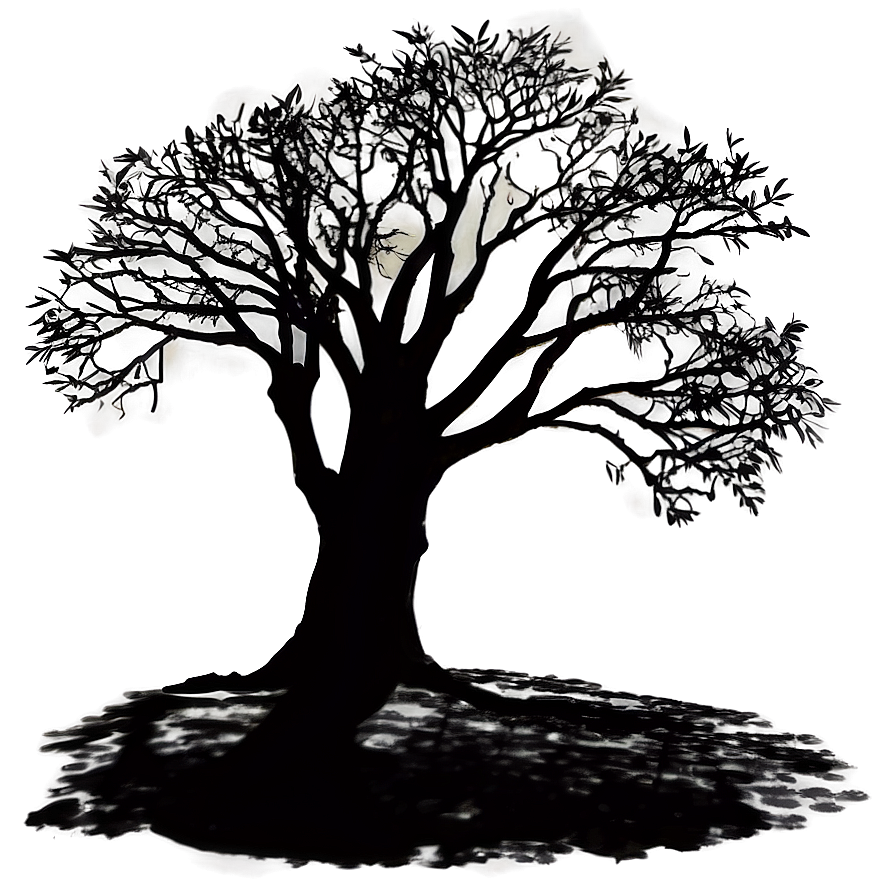 Morning Tree Shadow Png 19 PNG Image