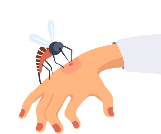 Mosquito Biting Hand Illustration PNG Image