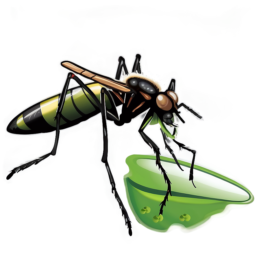 Mosquito Life Cycle Png Pej99 PNG Image