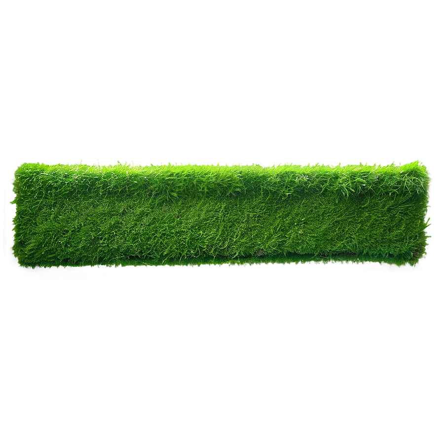 Moss Green Banner Png 06262024 PNG Image