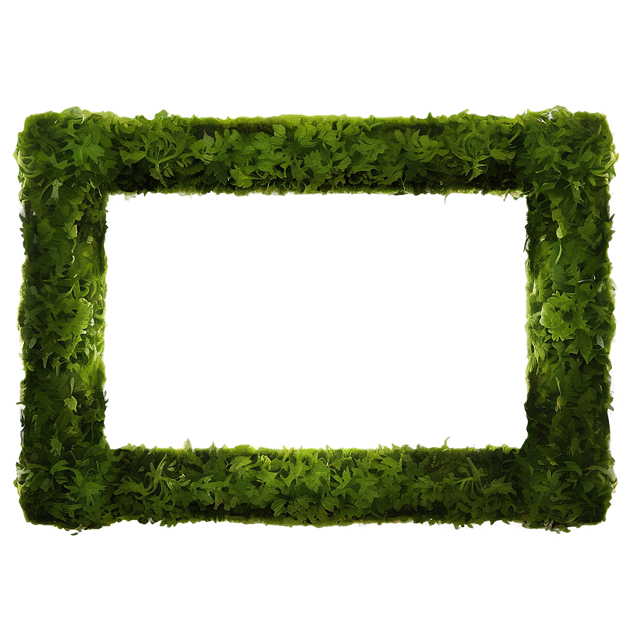 Moss Green Frame Png 25 PNG Image