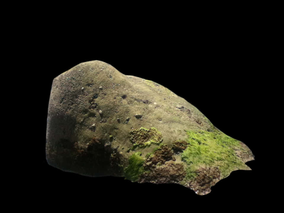 Mossy Rockon Black Background PNG Image