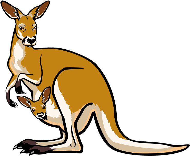 Mother Kangarooand Joey Vector Illustration PNG Image