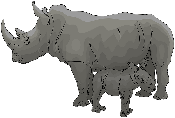 Motherand Baby Rhinoceros Illustration PNG Image