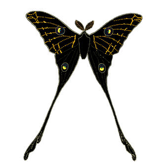 Mothwith Tails Illustration PNG Image