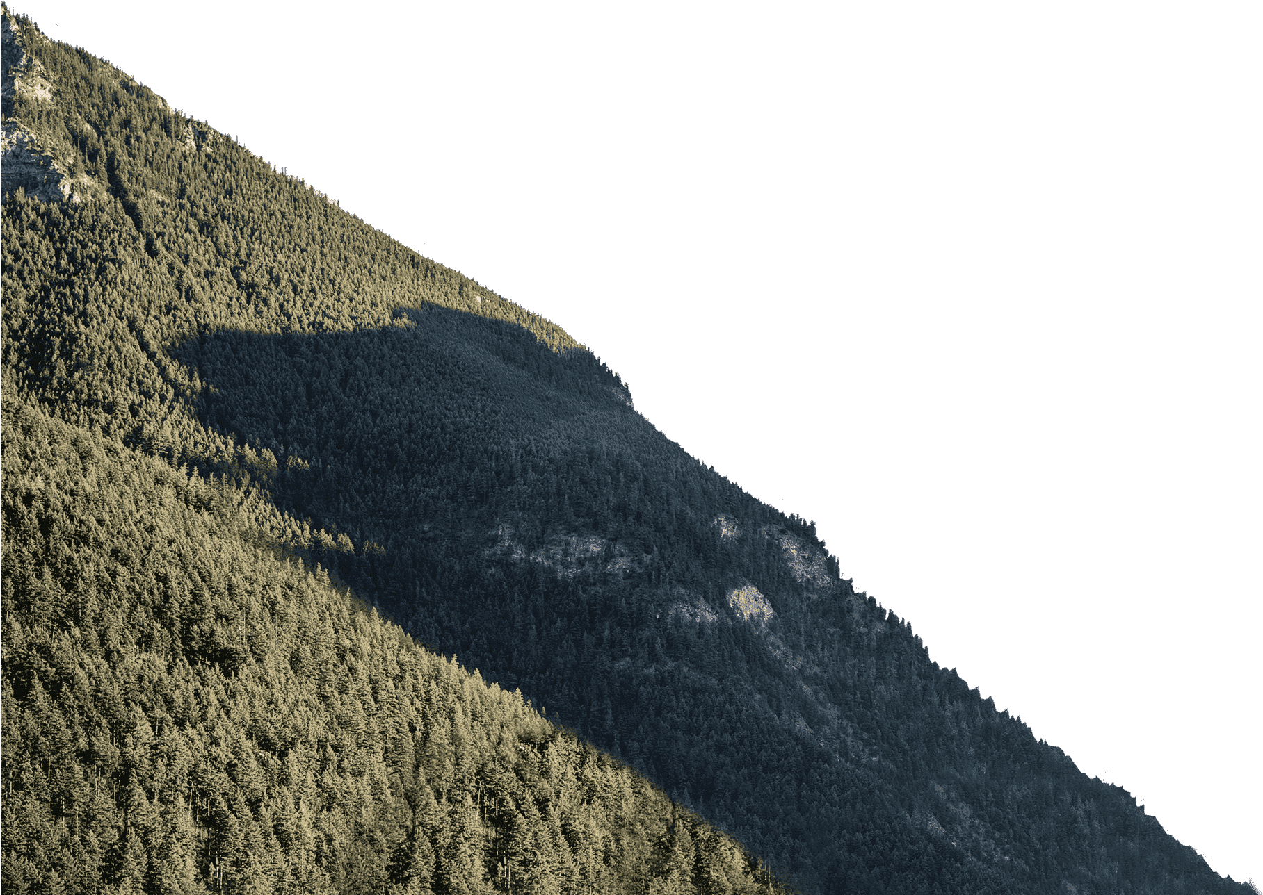 Mountain Forest Summit Gradient PNG Image