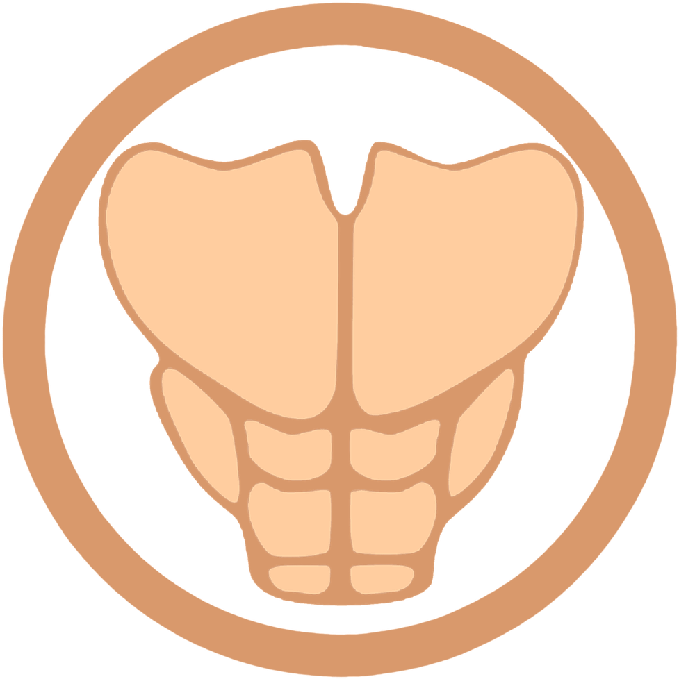 Muscular System Abdominal Muscles Icon PNG Image