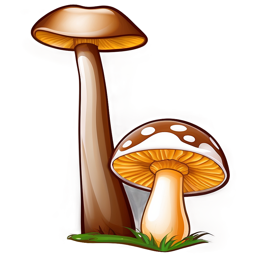 Mushroom Cartoon Drawing Png Npg PNG Image