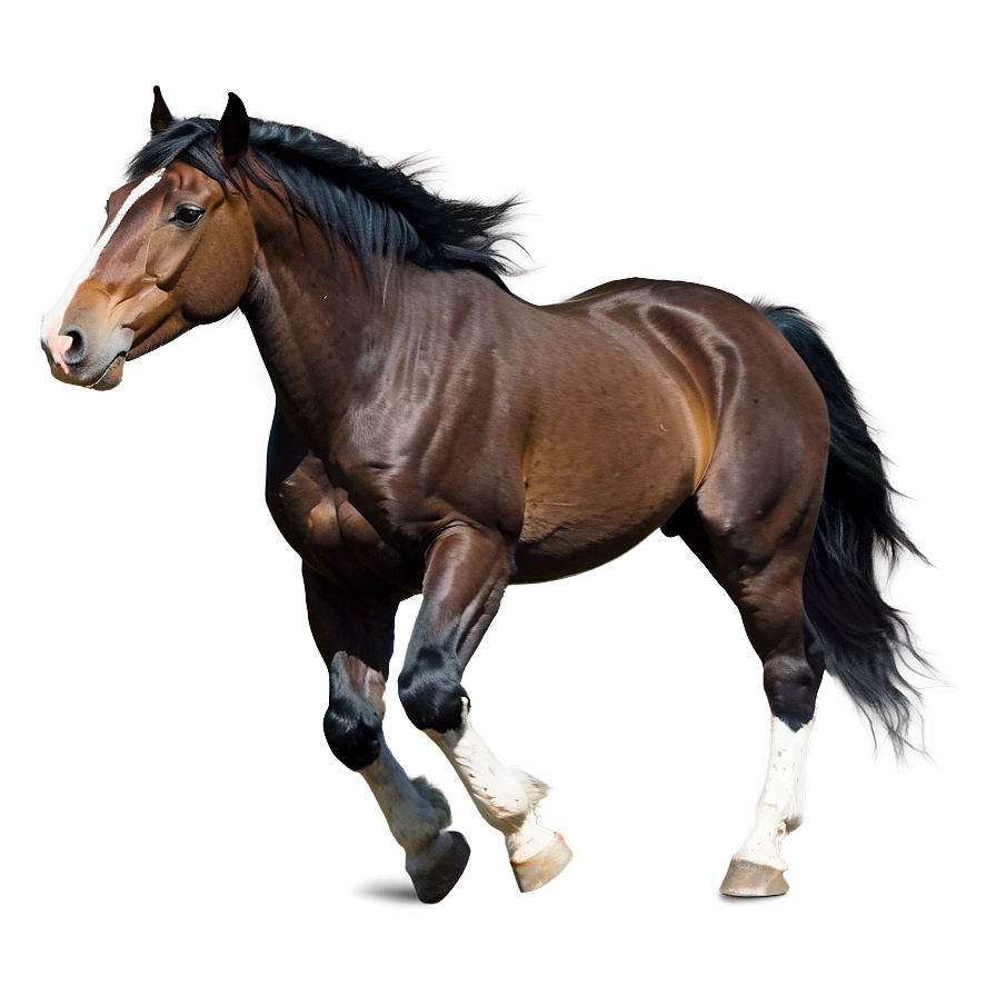 Mustang Horse Png Hml57 PNG Image