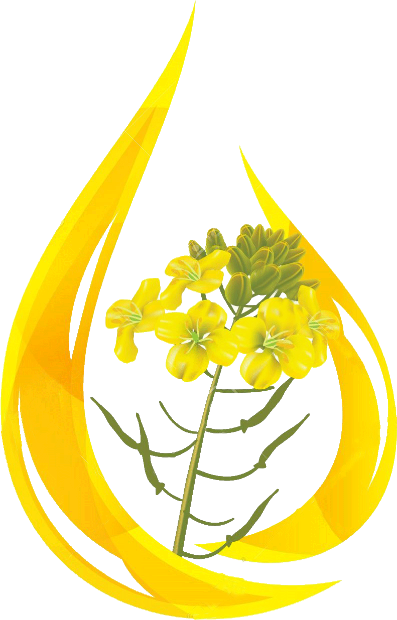 Mustard Flower Flame Graphic PNG Image