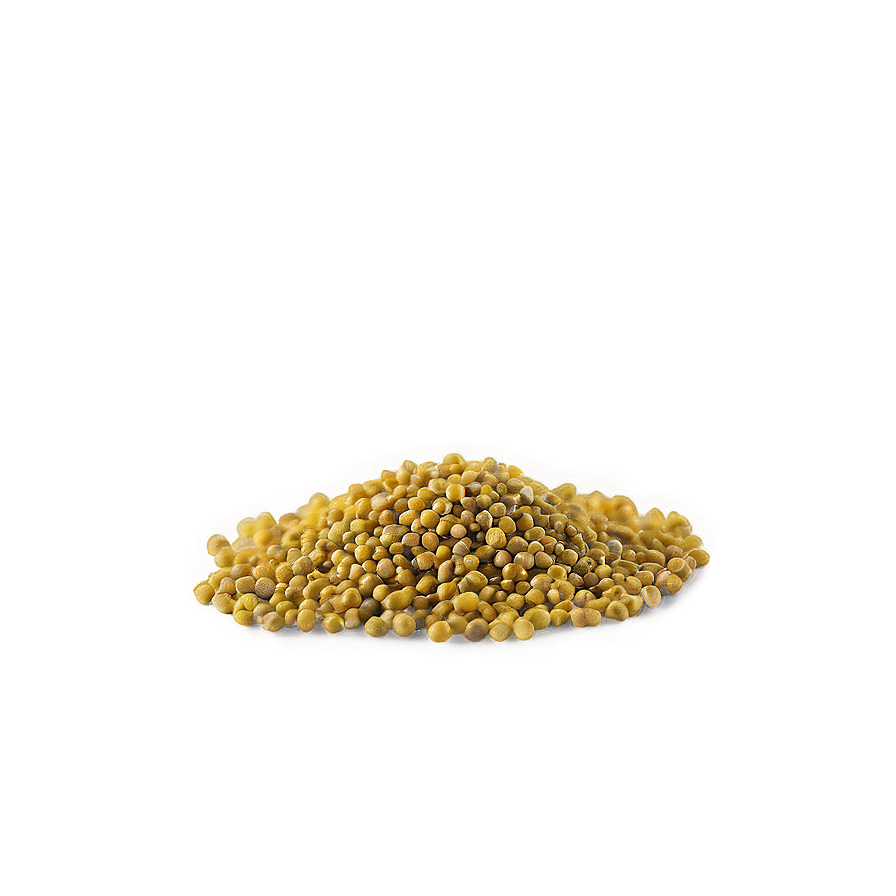 Mustard Seed Spice Png Imv PNG Image