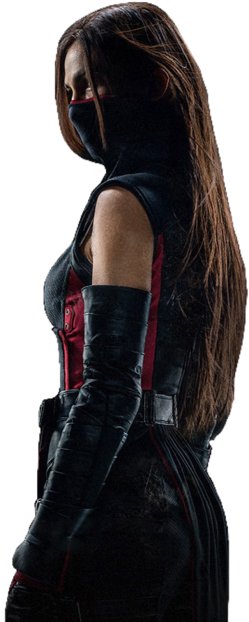 Mysterious_ Female_ Vigilante_ Profile PNG Image