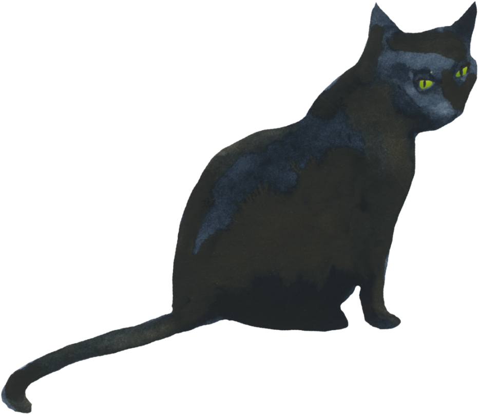 Mystic Black Cat Green Eyes PNG Image