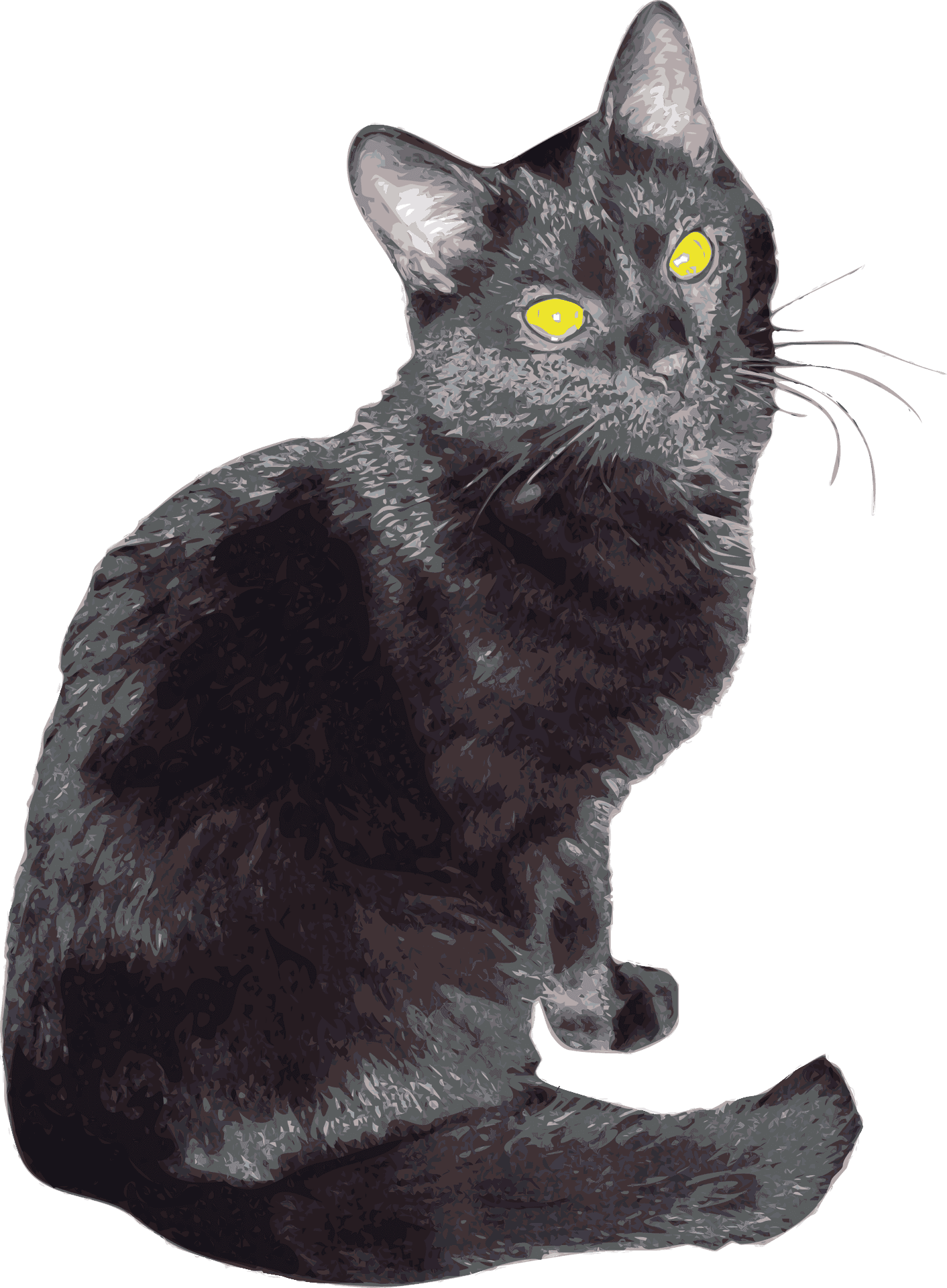 Mystic Black Cat Yellow Eyes PNG Image