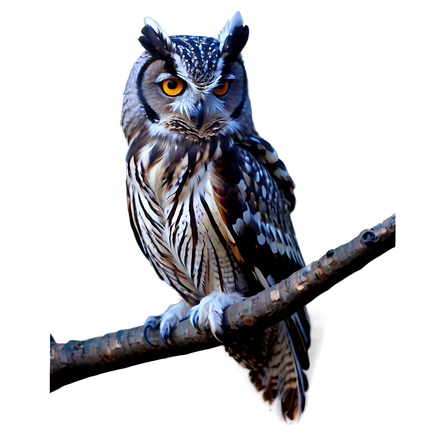 Mystic Owl Png Ome99 PNG Image