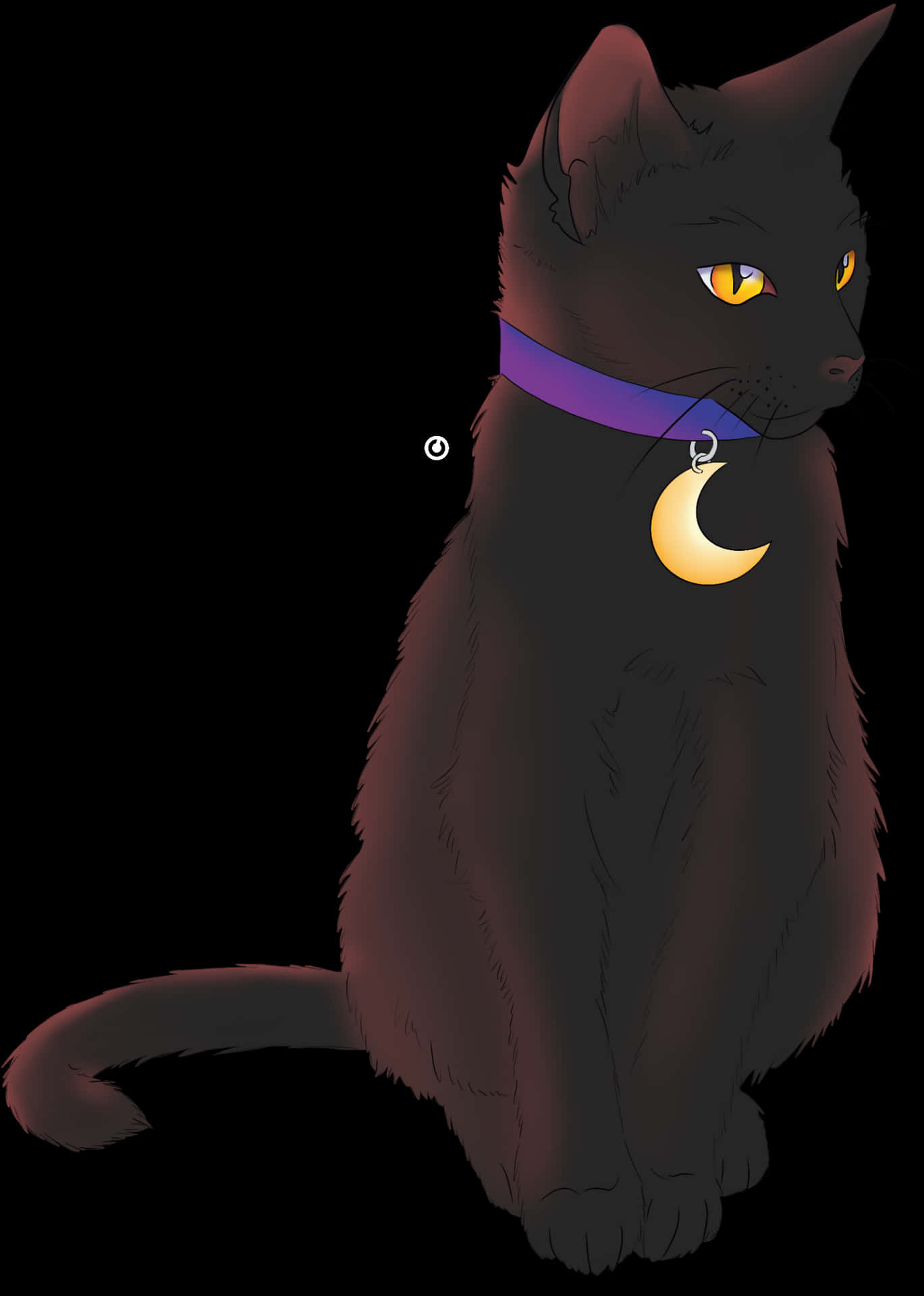 Mystical Black Cat Moon Pendant PNG Image