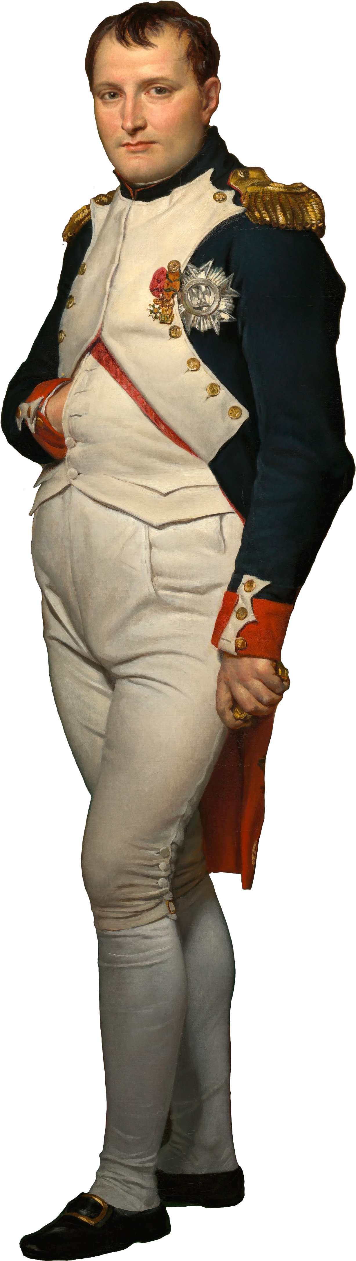 Napoleon Bonaparte Portrait PNG Image