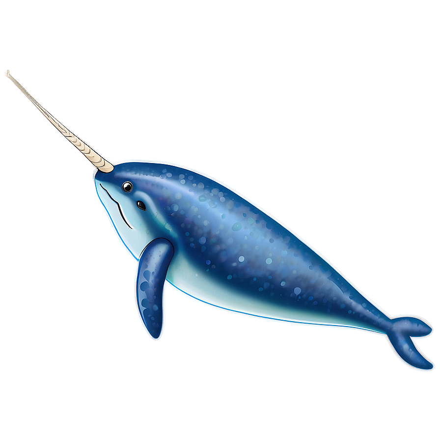 Narwhal B PNG Image