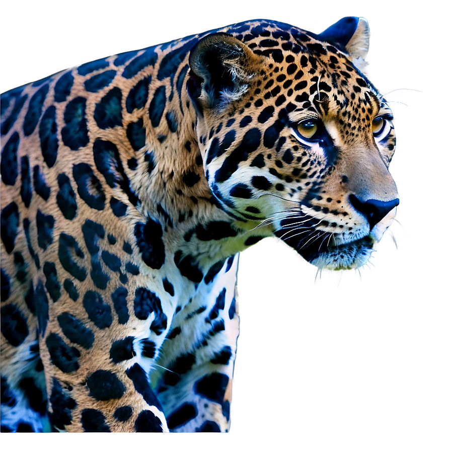 Native Jaguar Png Mrd50 PNG Image