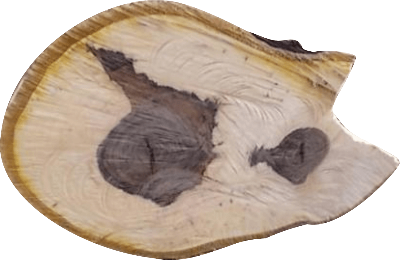 Natural Cross Section Wood Slice.jpg PNG Image