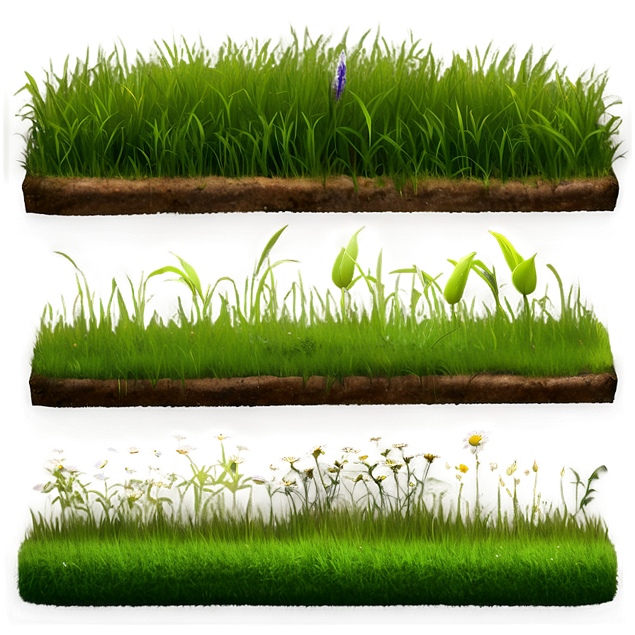 Natural Grass Patch Png 18 PNG Image